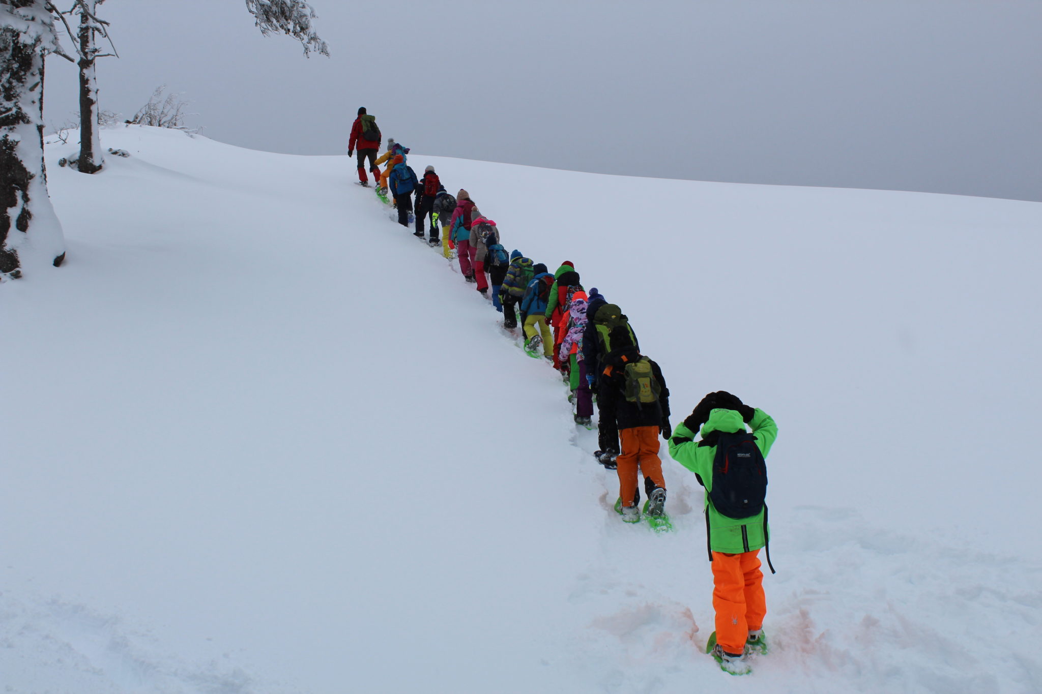 Schneeschuhwanderung am Dobratsch