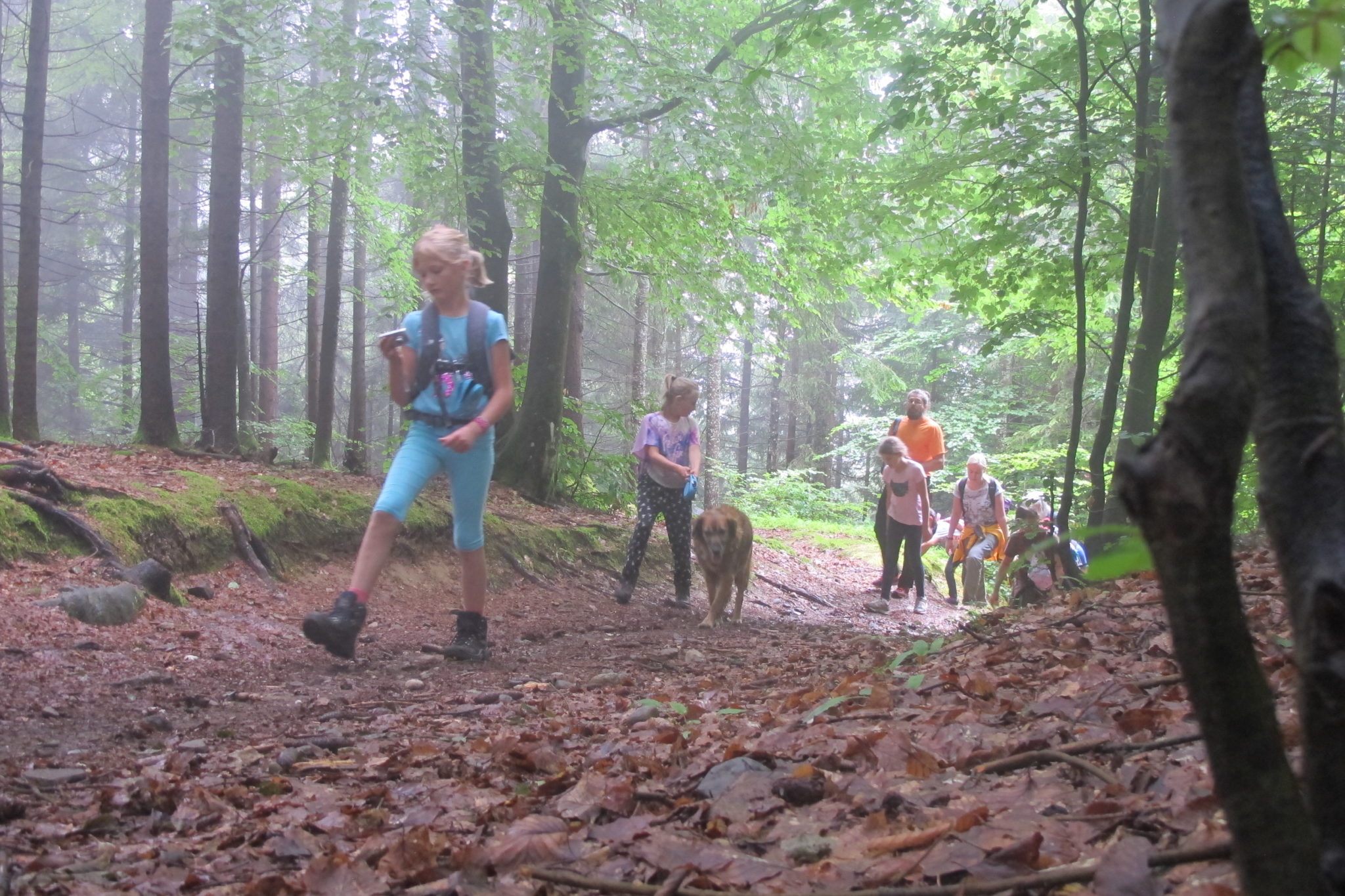 Wanderung auf den Oswaldiberg