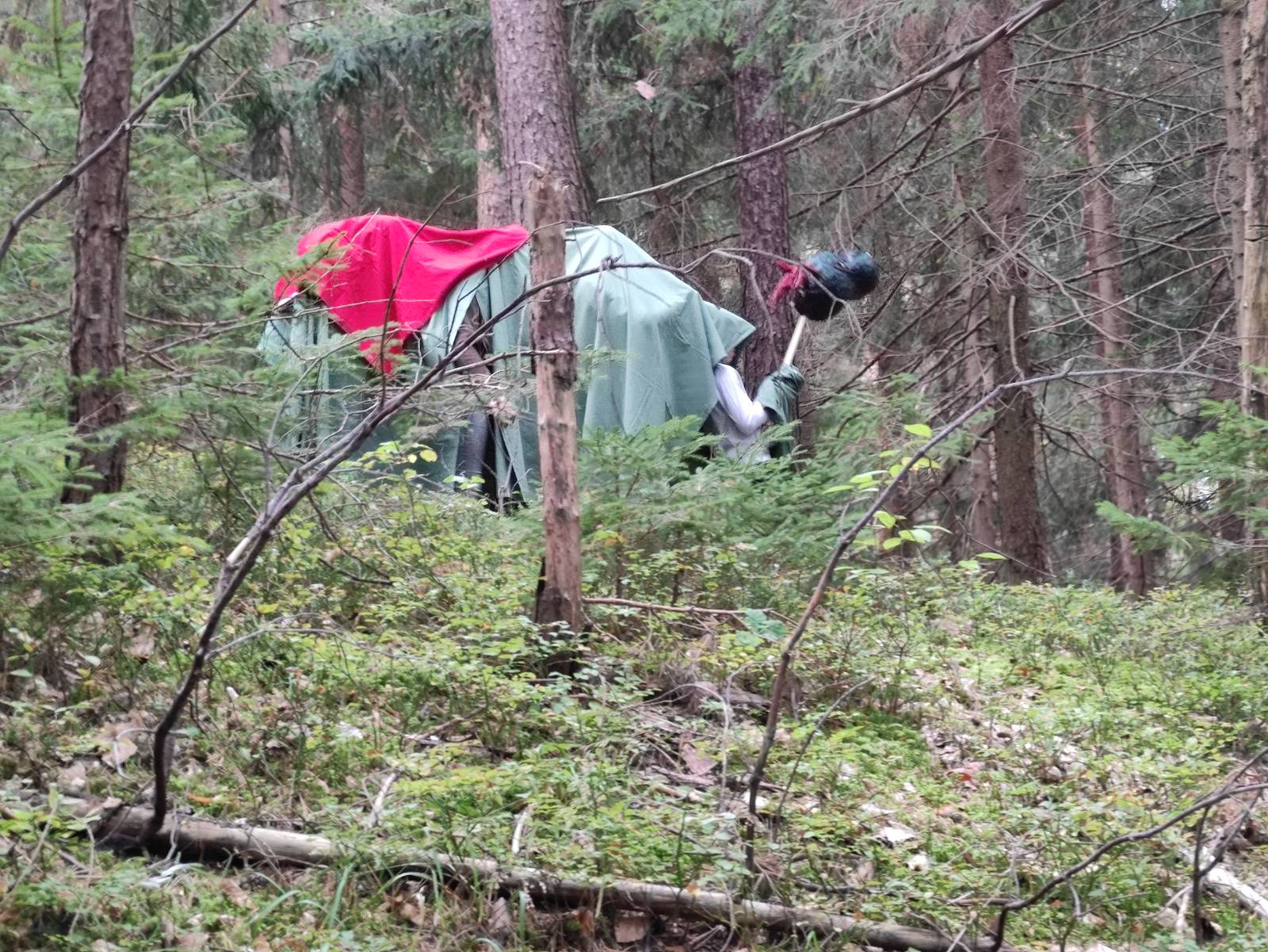 Michaelifeier im Wald